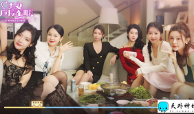 AI虚拟女友互动游戏-美女,应接不暇
