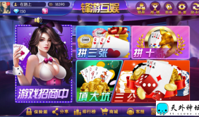 新版峰游互娱娱乐游戏源码金币+卡房玩法